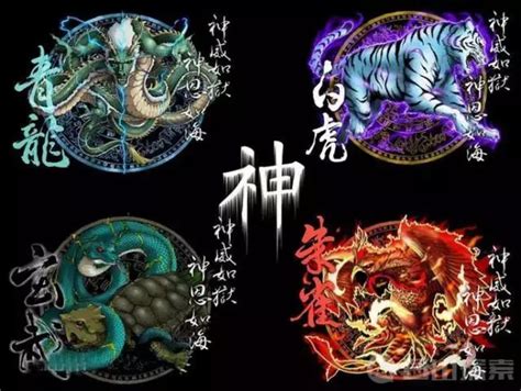 五行神獸|五聖獸:青龍,白虎,朱雀,玄武,黃龍,